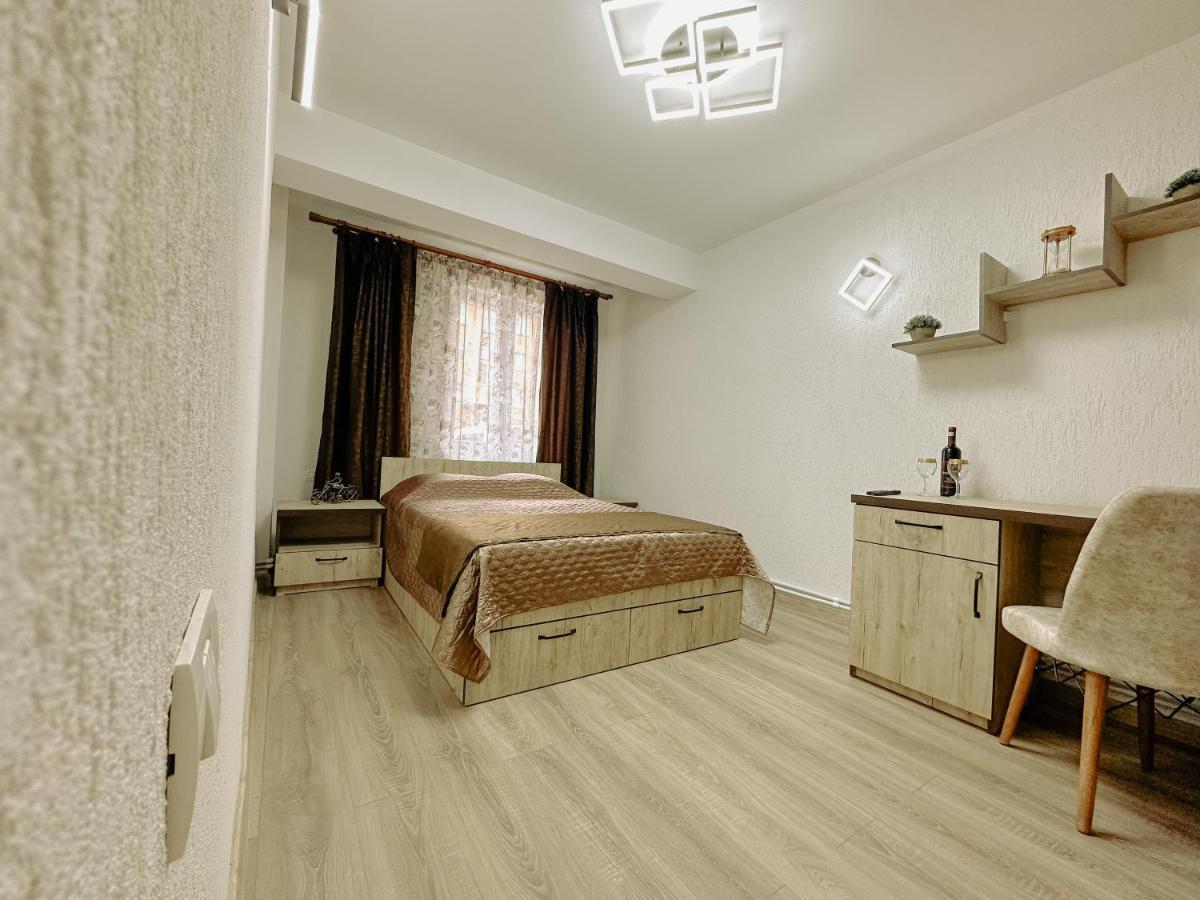 Studio 63 Petroşani Extérieur photo