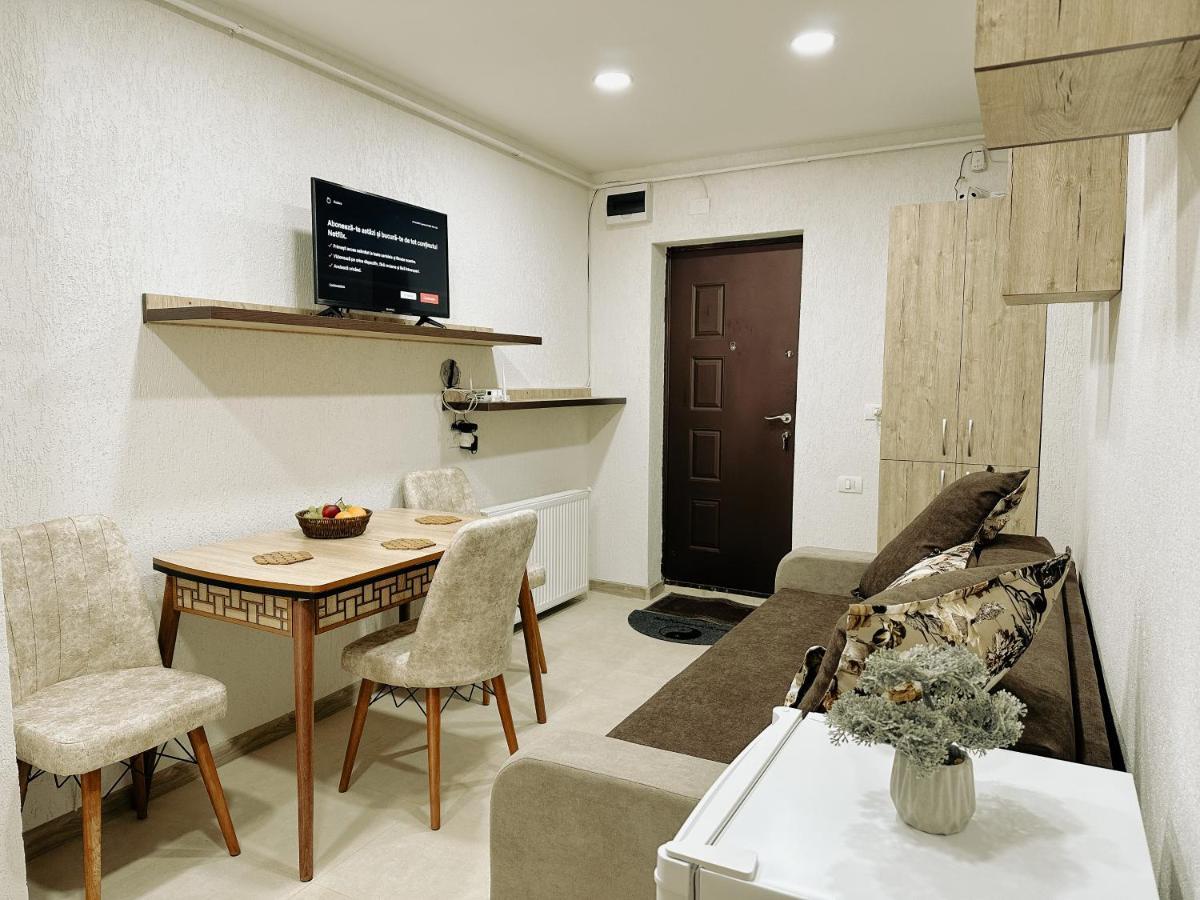 Studio 63 Petroşani Extérieur photo